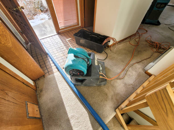 Best Flood restoration services  in New Lexington, OH