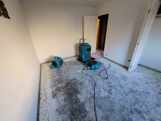 Best Commercial water damage restoration  in New Lexington, OH