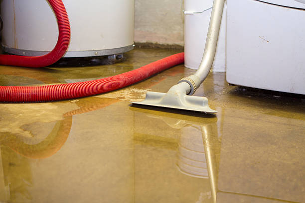 Best Water damage contractors near me  in New Lexington, OH