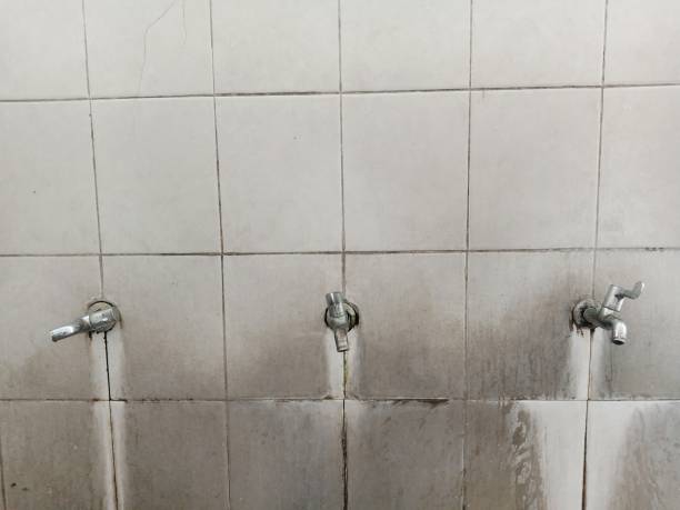 Best Emergency water damage restoration  in New Lexington, OH