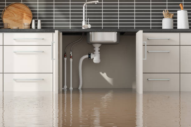 Best Water damage restoration services  in New Lexington, OH