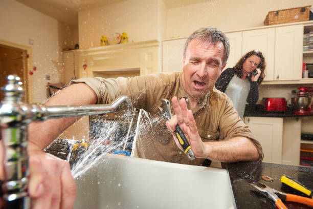 Best Professional water damage repair  in New Lexington, OH